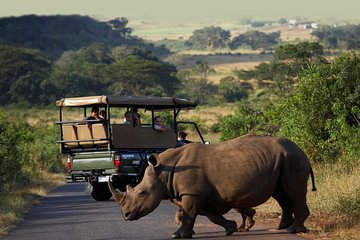 SAFARI TOUR ORIBI