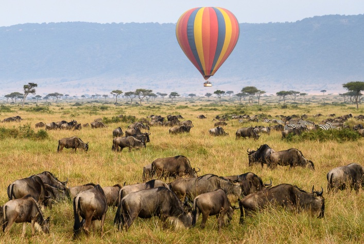  Balloon Safari