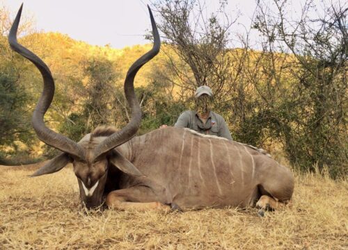 SAFARI TOUR KUDU