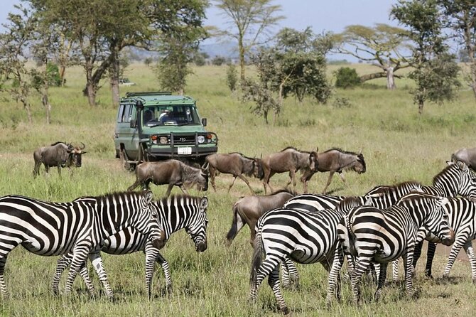 game drive  before hike OL Doinyo Lengai