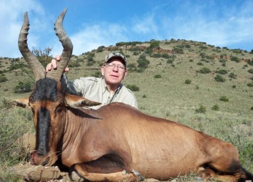 SAFARI TOUR HARTEBEEST