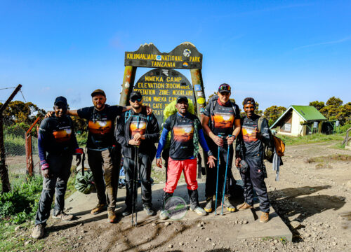 Tanzania Safari Tours: Wildlife Adventures with Kilimania