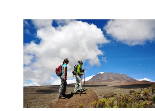 Tanzania Safari & Kilimanjaro Trek: Adventure Awaits in Africa