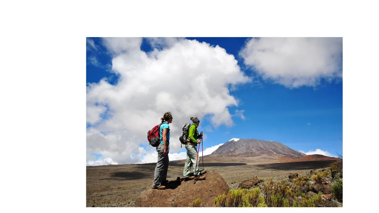 Tanzania Safari Kilimanjaro Trek