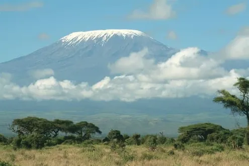 Tanzania Safari & Kilimanjaro Trek | Explore Africa’s Wild Beauty