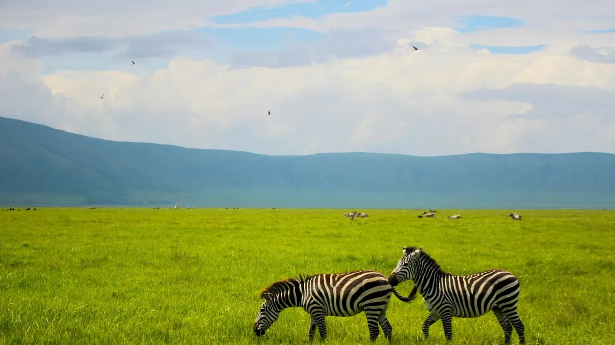 Tanzania treks and safaris