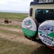 Tanzania Safari Tours