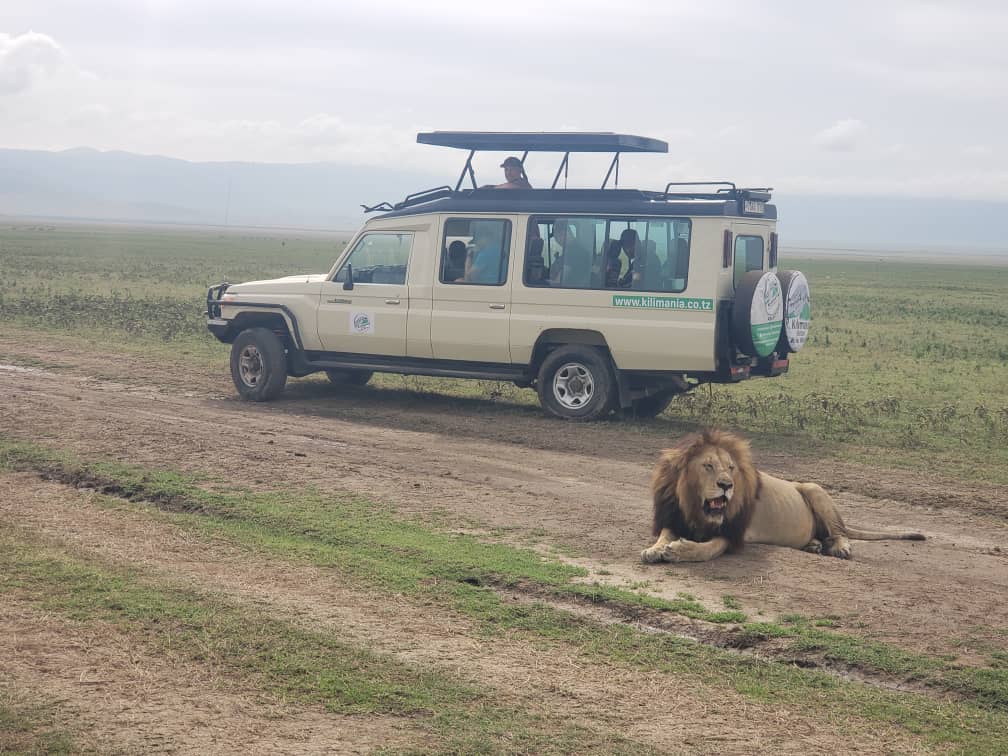 Serengeti Safari