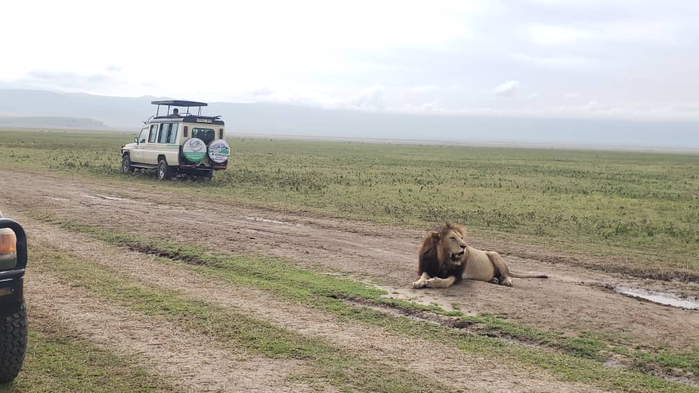 Tanzania Safari Tours