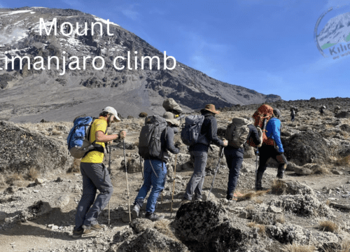 Climb Mount Kilimanjaro: Trekking Adventure Awaits in Tanzania