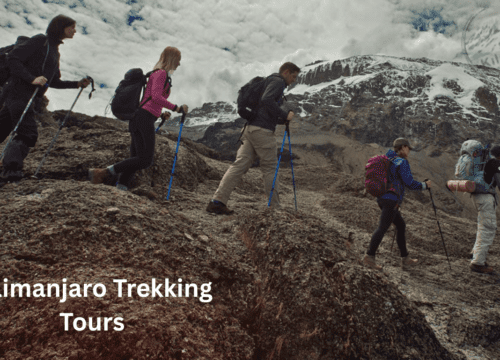 Kilimanjaro Trekking Tours: Conquering Africa’s Highest Peak