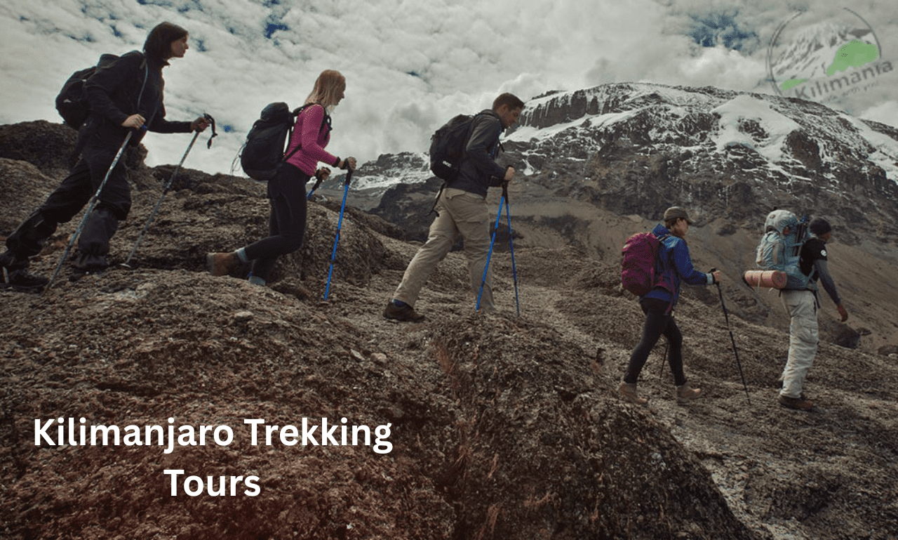 Mount Kilimanjaro climb