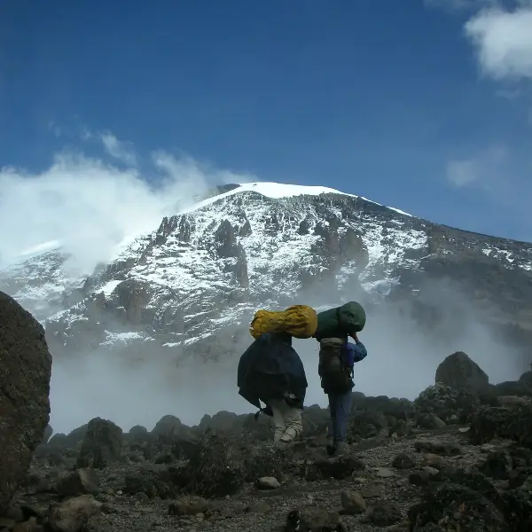 Northern Circuit trail on Kilimanjaro