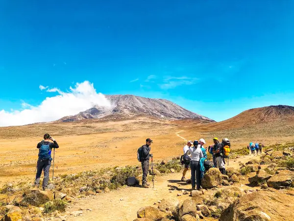 Kilimanjaro Climb & Tanzania Safari Expert 2026 | Moshi