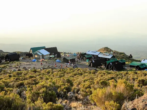 Kilimanjaro Climb & Tanzania Safari Expert 2026 | Moshi