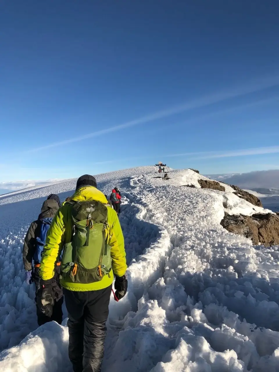 Kilimanjaro Climb & Tanzania Safari Expert 2026 | Moshi