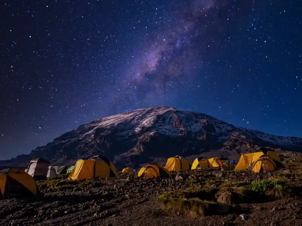 Kilimanjaro Climb & Tanzania Safari Expert 2026 | Moshi