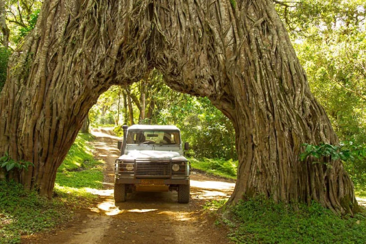 2-days-dik-dik-safari-1