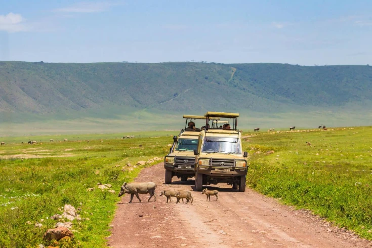 2-days-dik-dik-safari-3