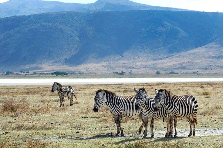 3-7-days-tanzania-budget-safari-2