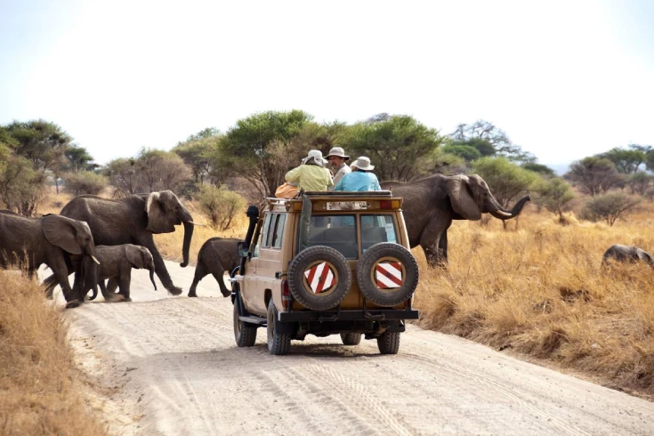 3-7-days-tanzania-budget-safari-4