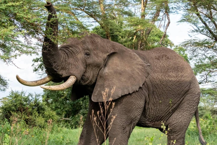 3-days-tanzania-budget-safari-3