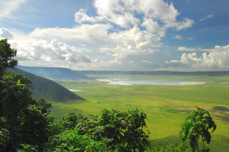 3-days-tanzania-grants-safari-1