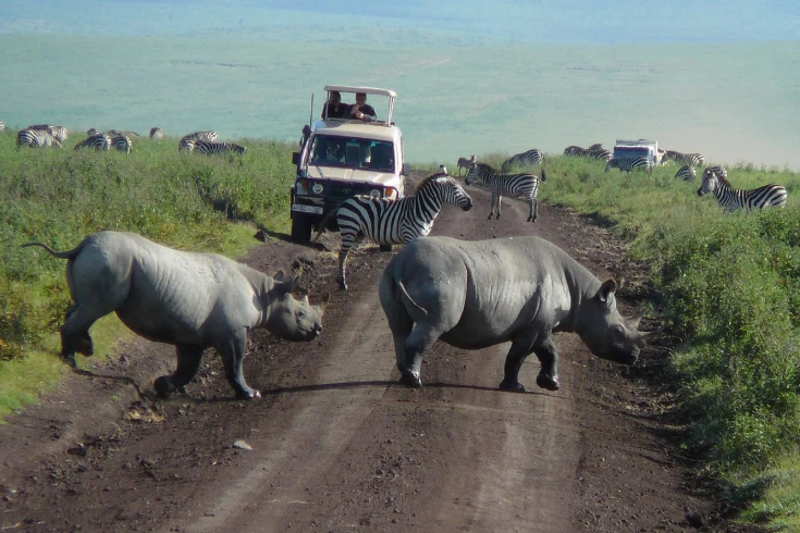 3-days-tanzania-steenbok-safari-2