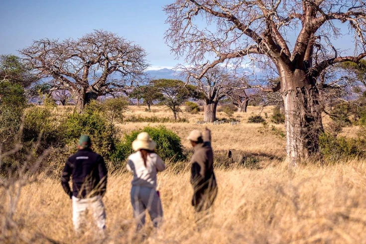 3-days-tarangire-walking-and-night-safari-2