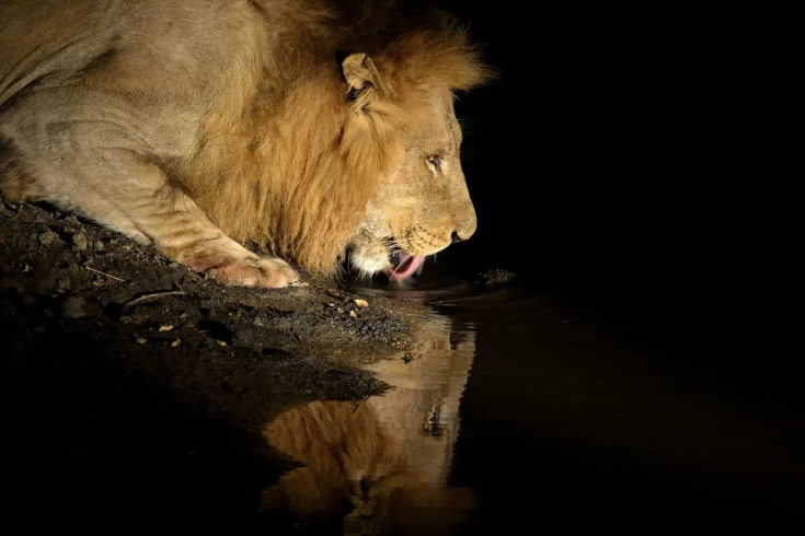 3-days-tarangire-walking-and-night-safari-4