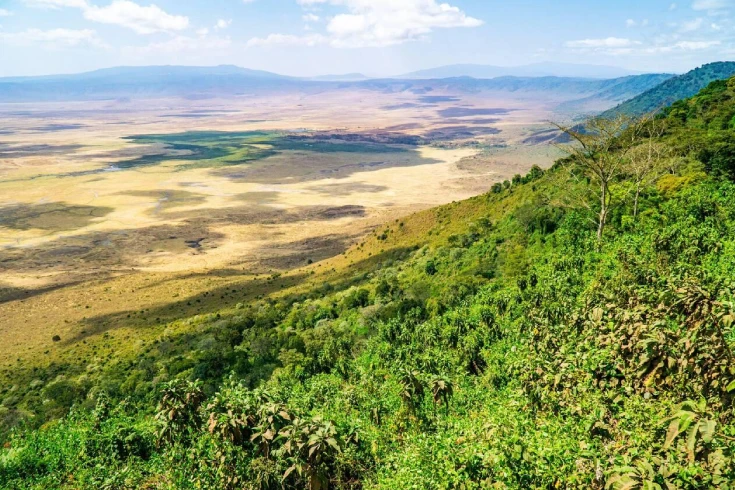 4-days-tanzania-bushbuck-safari-1