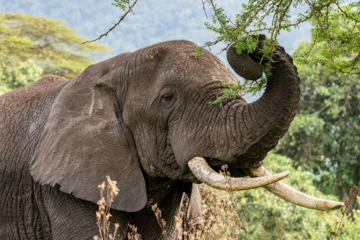 4-days-tanzania-cultural-and-wildlife-safari-2