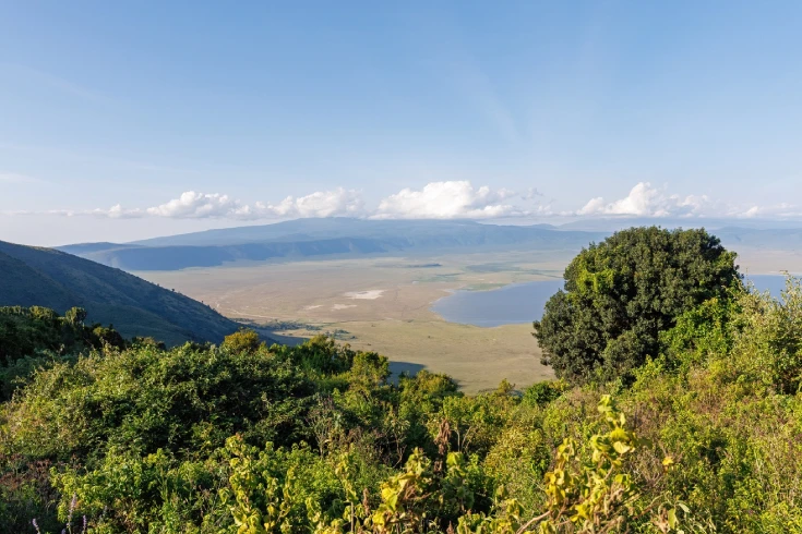 4-days-tanzania-gerenuk-safari-3