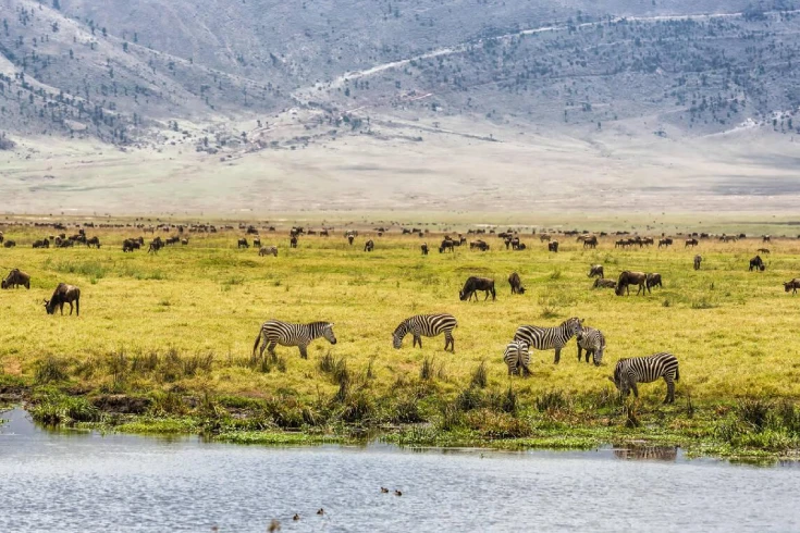 5-days-tanzania-hartebeest-safari-2