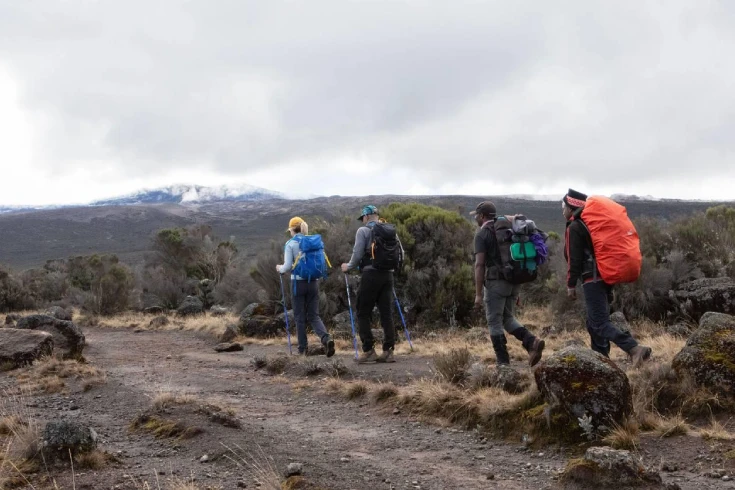 8-days-lemosho-route-4