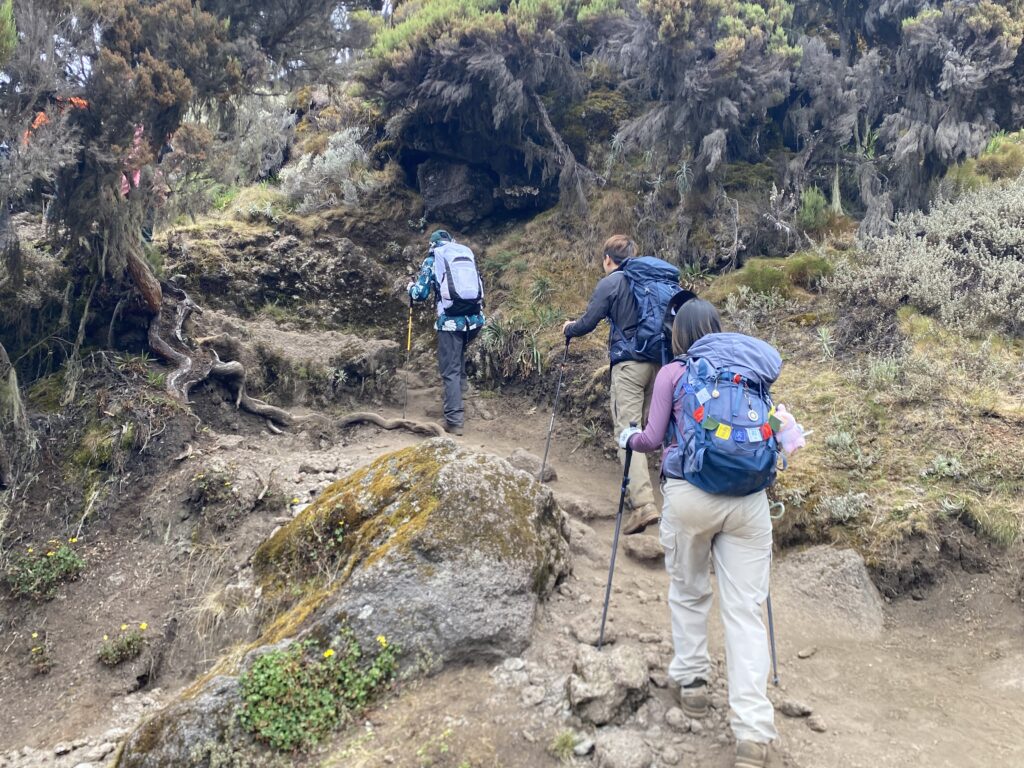 Best time to climb Mount Kilimanjaro