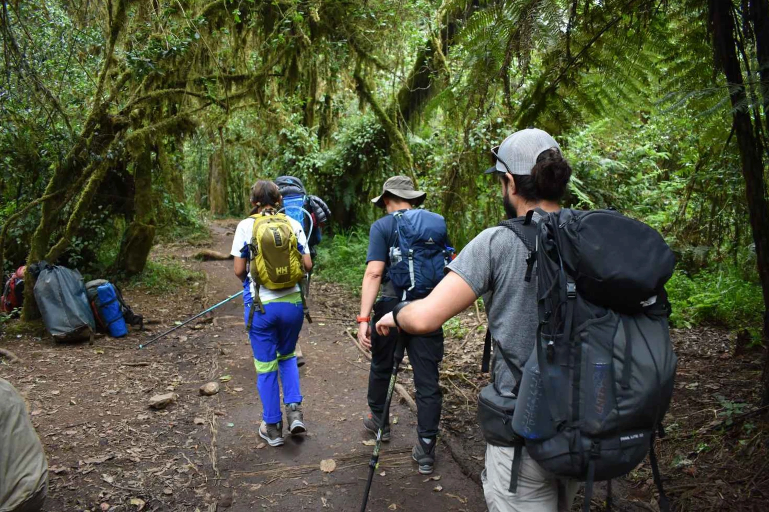 Kilimania guide leading climbers on Lemosho Route with trekking poles