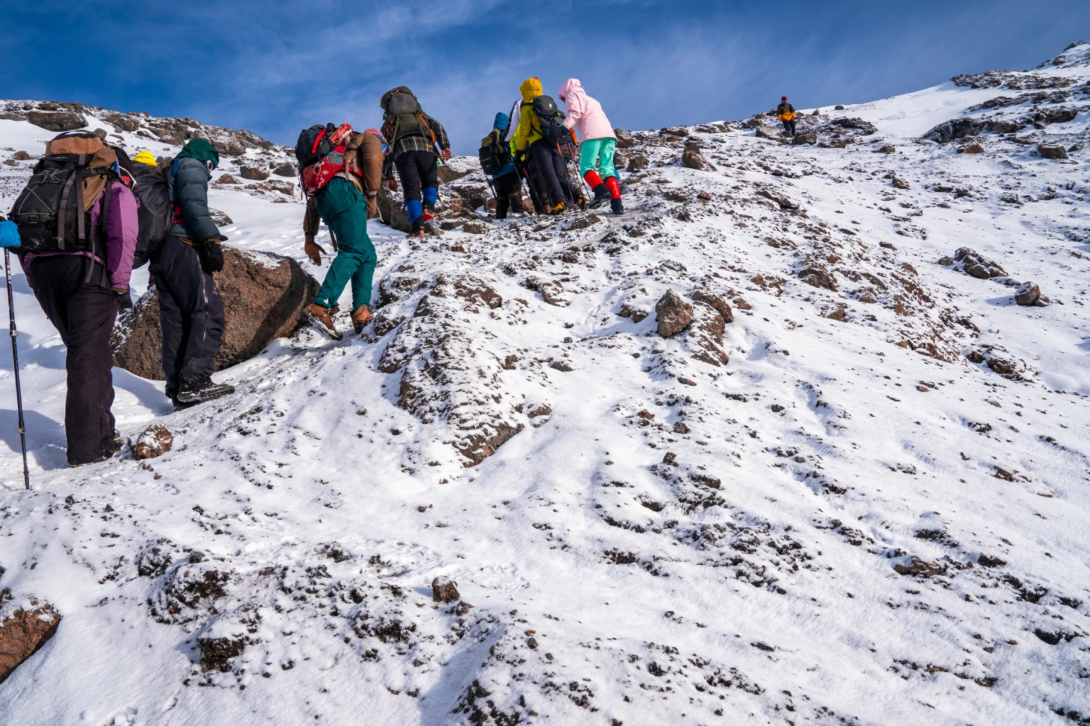 Kilimanjaro route profile showing climb high sleep low acclimatization principle on Lemosho 8-day itinerary with Lava Tower day marked