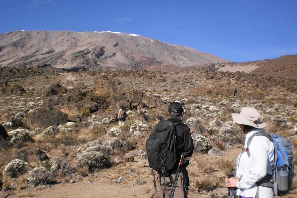 kilimanjaro trekking