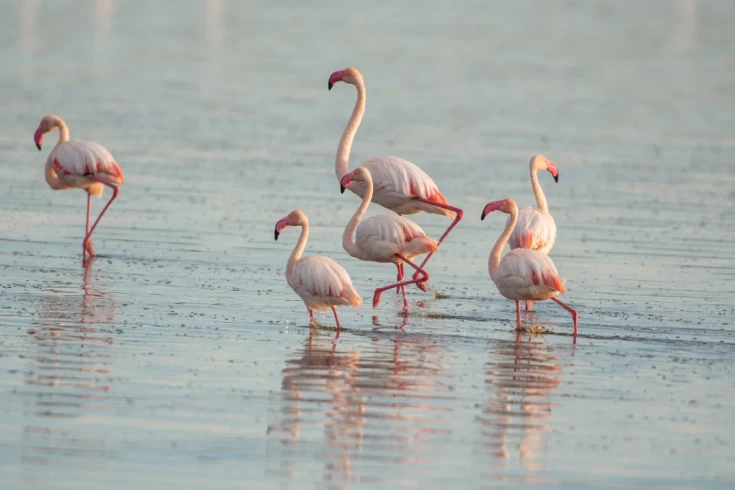 lake-manyara-national-park-day-trip-3