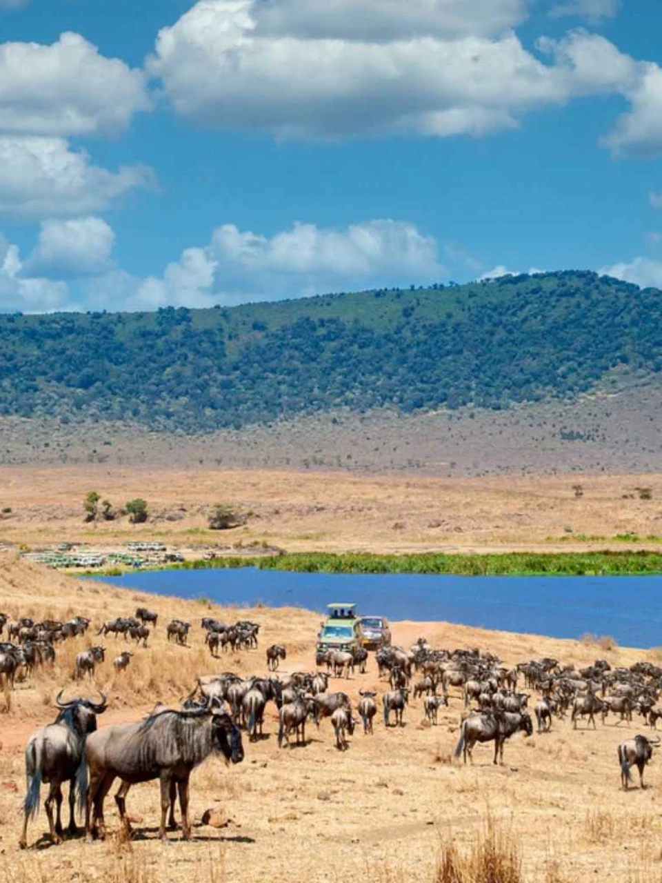 Ngorongoro Crater attraction