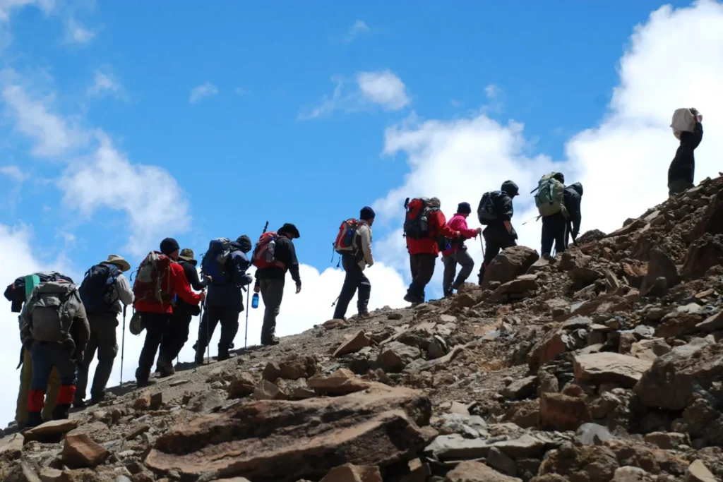 Kilimanjaro Climb & Tanzania Safari Expert 2026 | Moshi