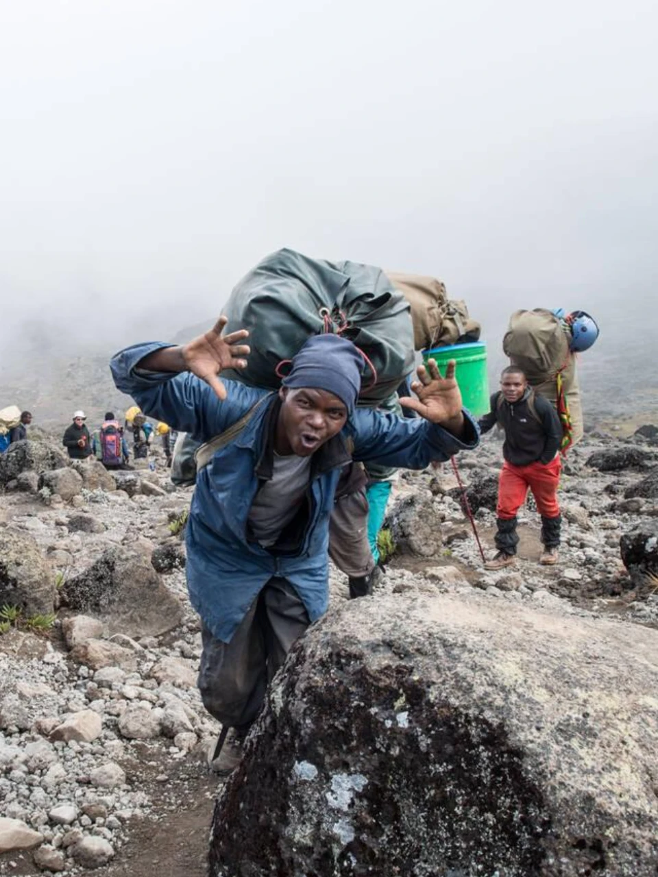 Kilimanjaro Climb & Tanzania Safari Expert 2026 | Moshi