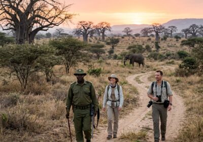 Walking Safari in Tanzania: Top Parks, Costs, Rules.