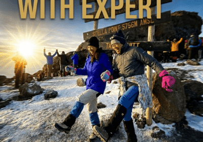 Best Tanzania Safari and Kilimanjaro Climb in Moshi 2026