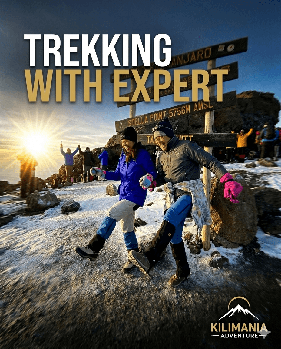 Best Tanzania Safari and Kilimanjaro Climb in Moshi 2026