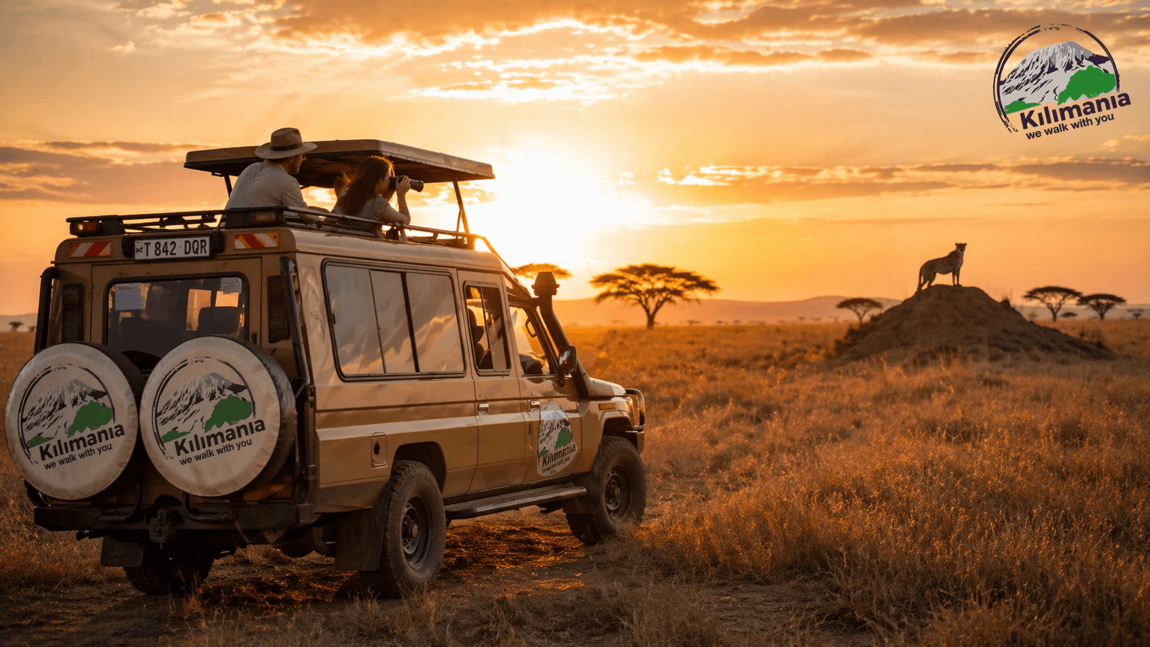 Kilimanjaro Climb & Tanzania Safari Expert 2026 | Moshi