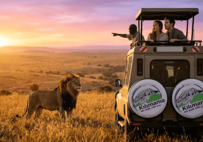 How Much is a Tanzania Safari? Best Cost Guide & Hidden Extras