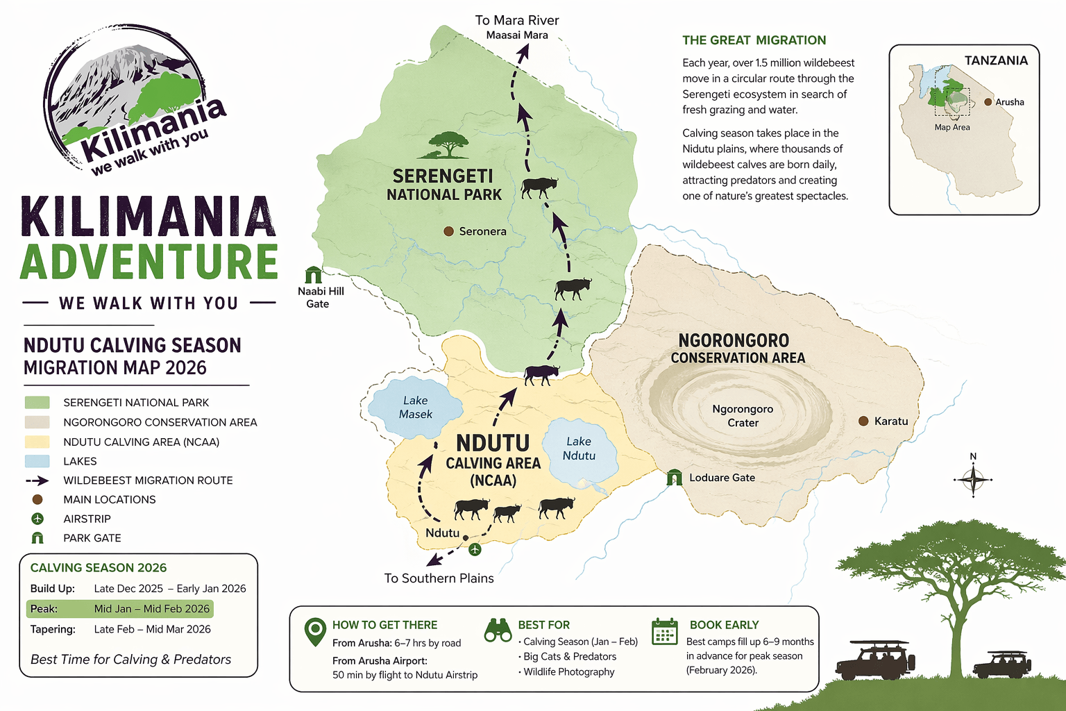 Illustrated safari map of Northern Tanzania highlighting the Ndutu calving season migration area and wildlife movement patterns
