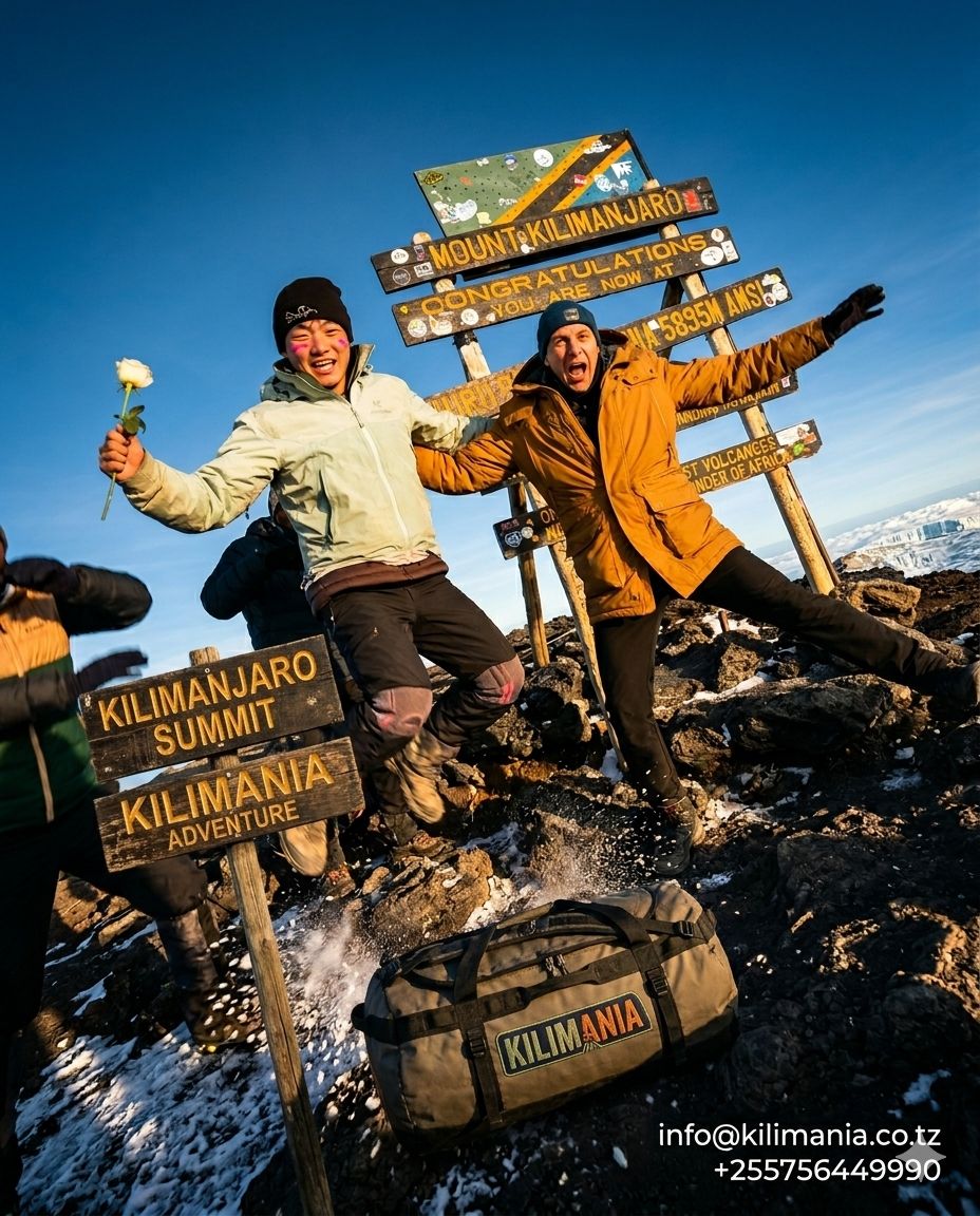 Kilimanjaro Climb & Tanzania Safari Expert 2026 | Moshi